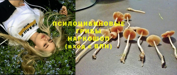 МДПВ Гусь-Хрустальный
