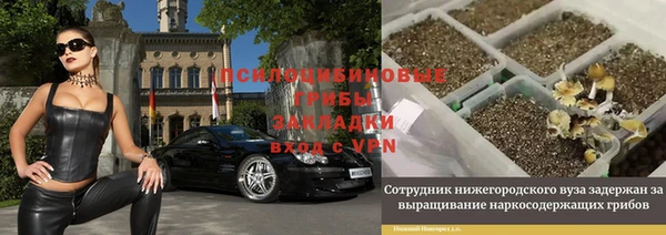 мяу мяу мука Всеволожск