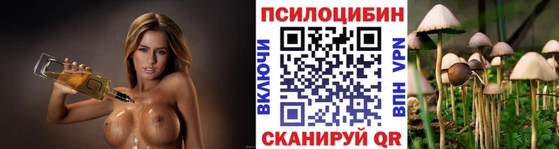 Псилоцибиновые грибы MAGIC MUSHROOMS  Купить где  Оханск 